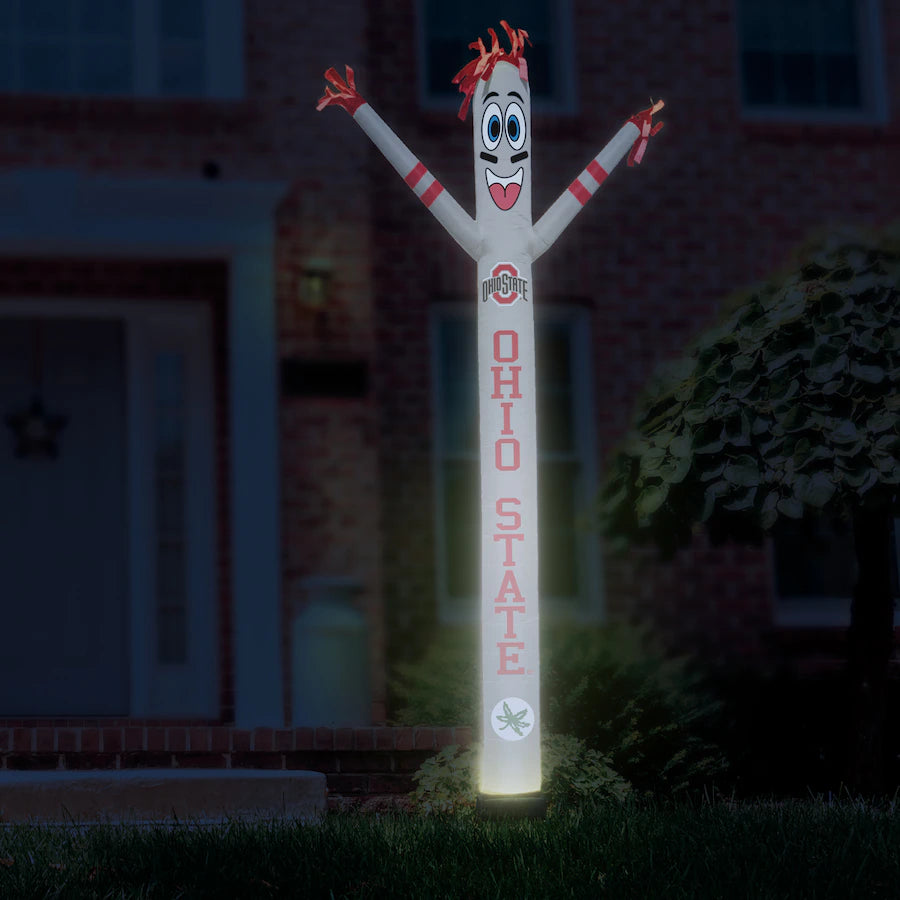 Ohio State Crazy Sports Fan