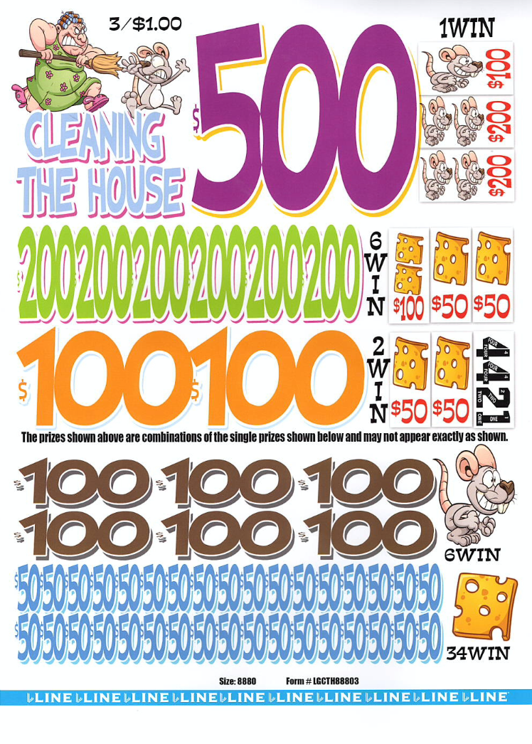 Cleaning The House