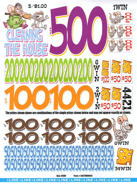 Cleaning The House