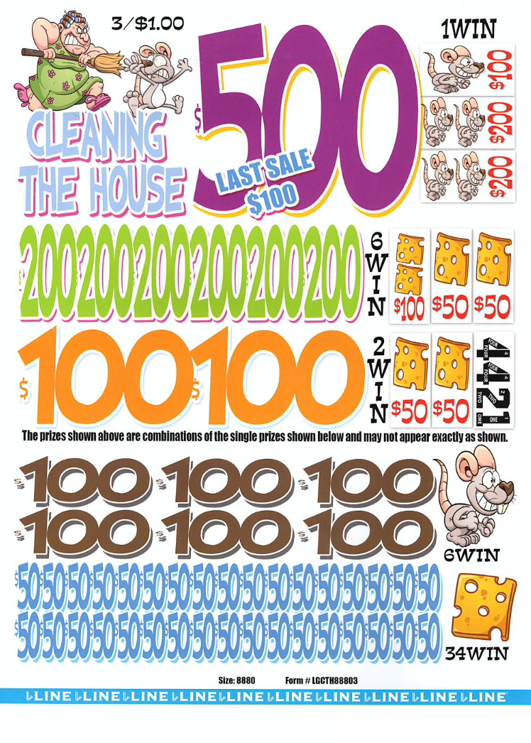 Cleaning The House
